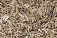 biomass boilers Hales Wood