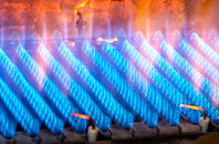 Hales Wood gas fired boilers